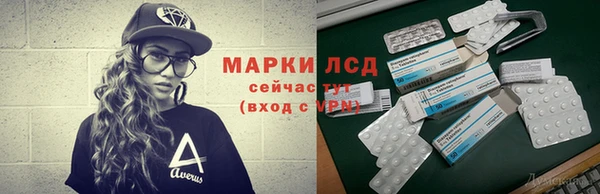 сатива Бронницы