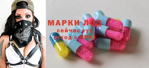 2c-b Бородино