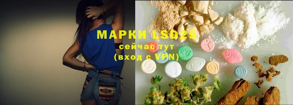сатива Бронницы