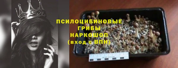 2c-b Бородино