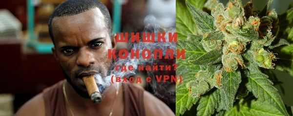сатива Бронницы