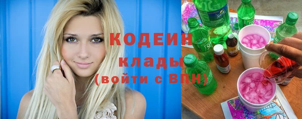 2c-b Бородино